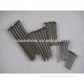 polished common iron wire round nails factory